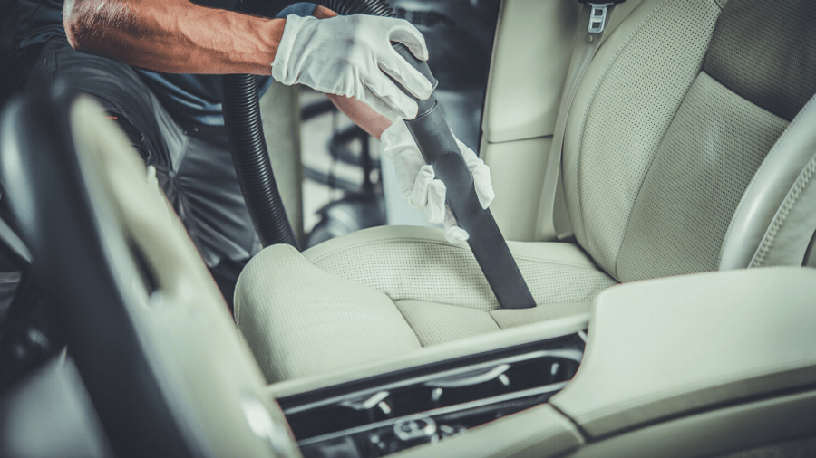 How to get dog hair out of car - Montana Auto Pros