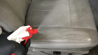 How to Remove Mold from Car Interior?
