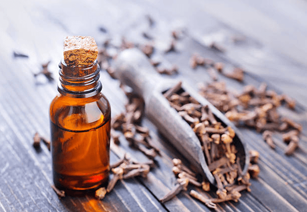 Cloves oil for car interior cleaning